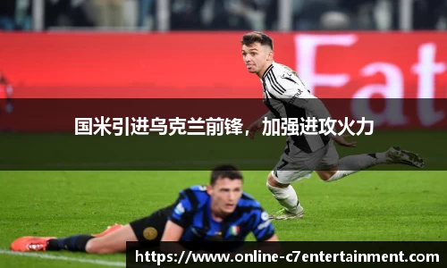 国米引进乌克兰前锋，加强进攻火力