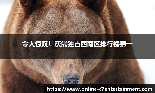 令人惊叹!灰熊独占西南区排行榜第一