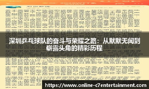 深圳乒乓球队的奋斗与荣耀之路：从默默无闻到崭露头角的精彩历程